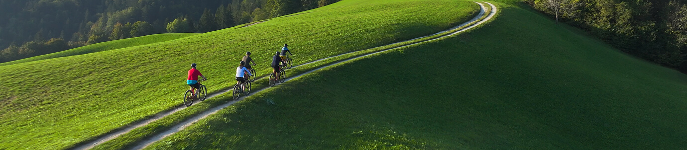 5 cyclists going up a dirt path on a hillside