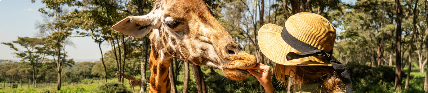 Safari wildlife expedition in natural habitat