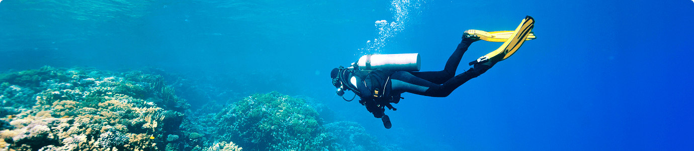 Scuba diving exploration of colorful coral reef